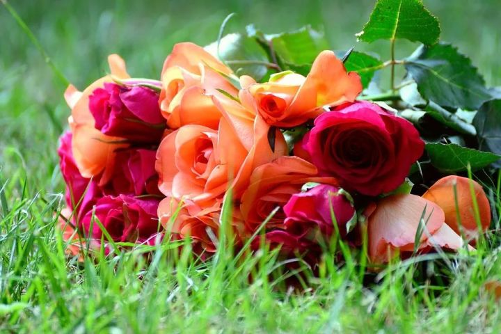 新教育实验经典句子（通用60句）