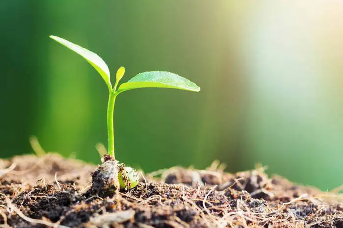 处女座今天星座运势（2024-03/03日）