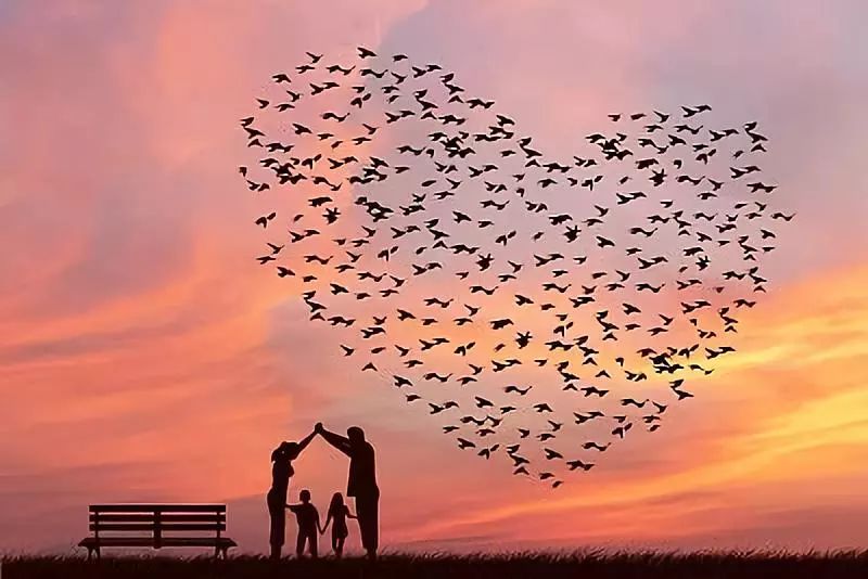 巨蟹座今天星座运势（2024-02/25日）