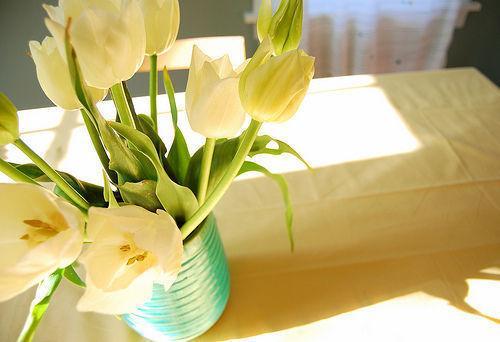 白羊座本周星座运势（2024-03/04 ~ 03/11日）