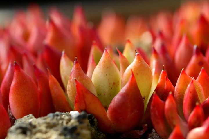 天秤座今天星座运势（2023-04/02日）