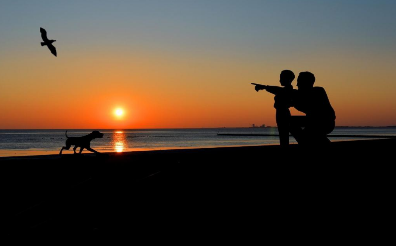 白羊座今天星座运势（2023-03/31日）