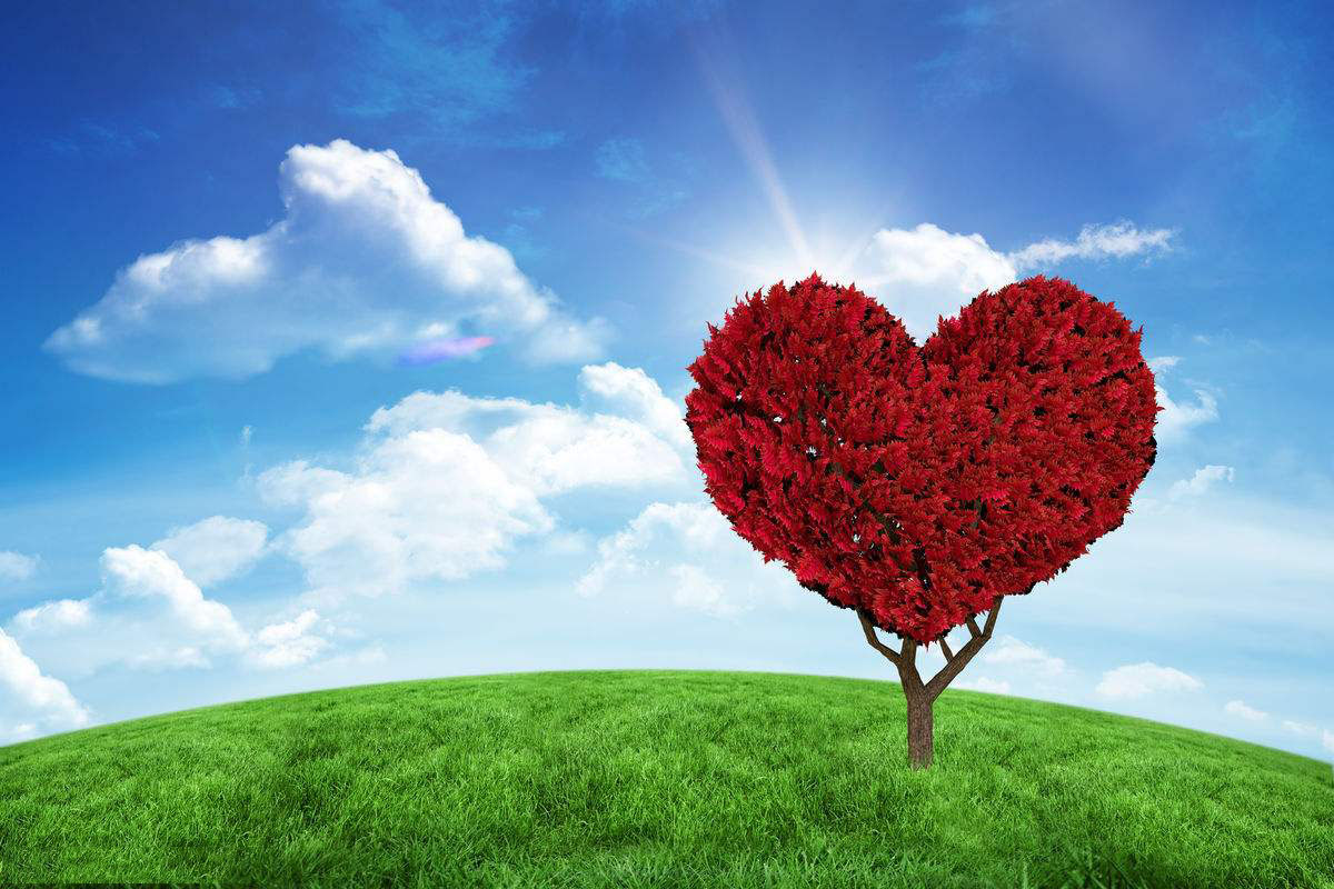 处女座今天星座运势（2023-03/29日）