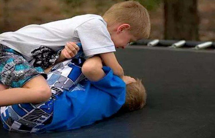 狮子座本周星座运势（2024-02/12 ~ 02/19日）