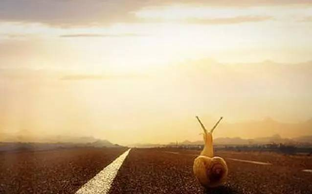 天秤座今天星座运势（2023-06/10日）