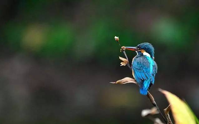 处女座今天星座运势（2023-10/15日）