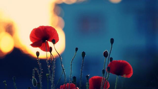 天秤座本月星座运势（2024-03/01 ~ 03/31日）