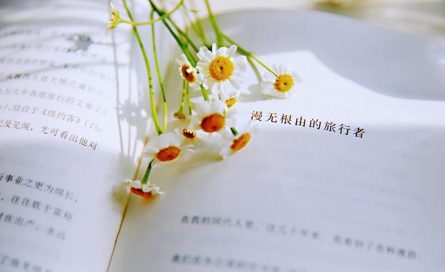 狮子座今天星座运势（2024-03/04日）