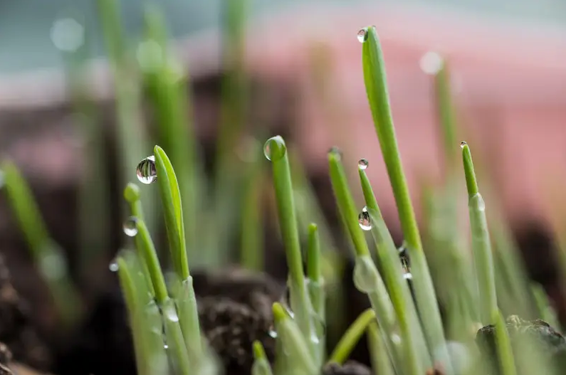 巨蟹座今天星座运势（2023-11/27日）